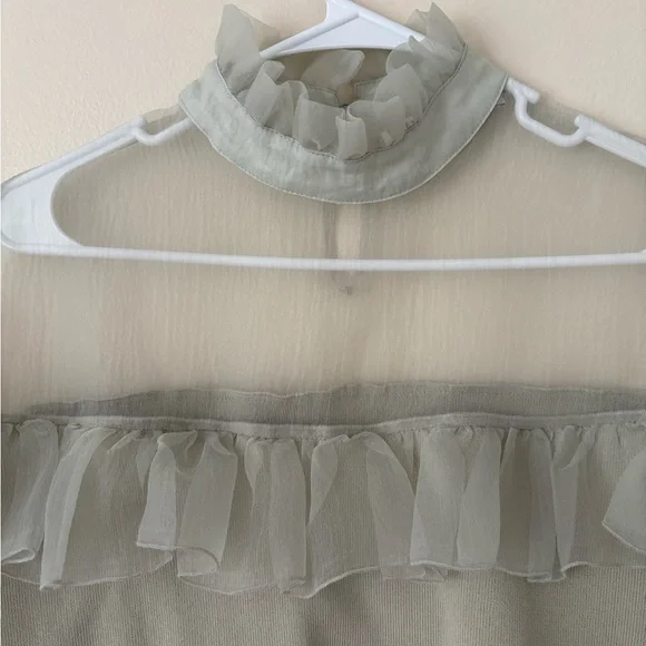 Zara Organza Sheer Ruffle Knit Top in Sea Foam Green Blogger Favorite Size Small - Picture 11 of 16